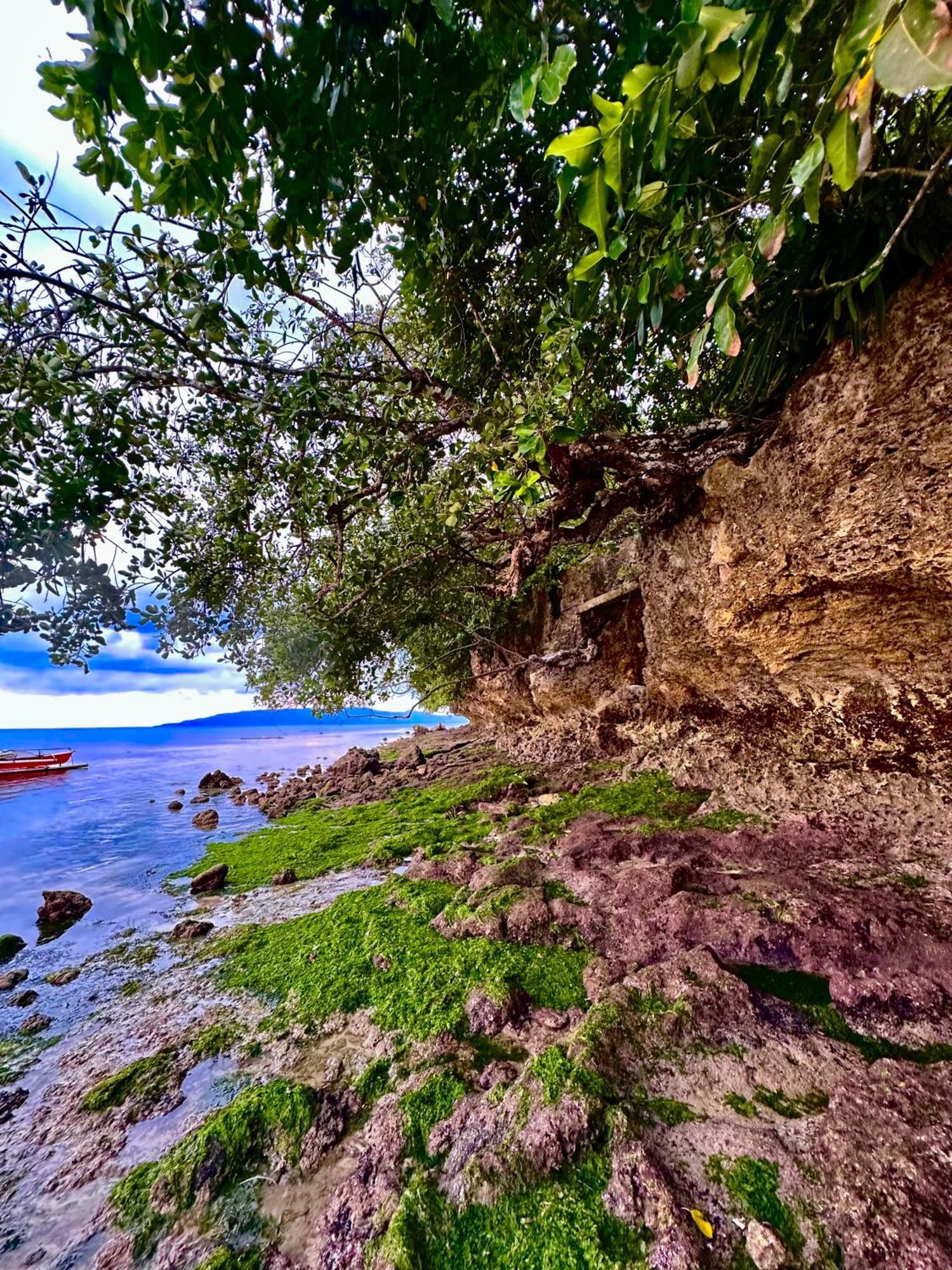 Sapphire Boutique Resort Panglao Kültér fotó